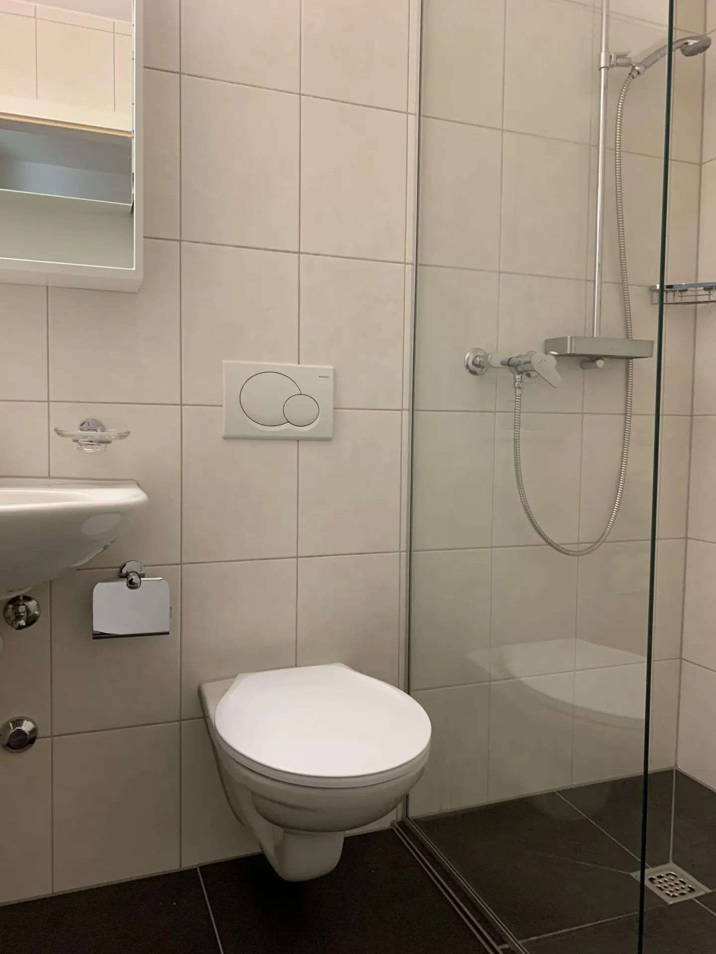Gemütliche SINGLE-Wohnung in Emmenbrücke - Foto 5 von 5