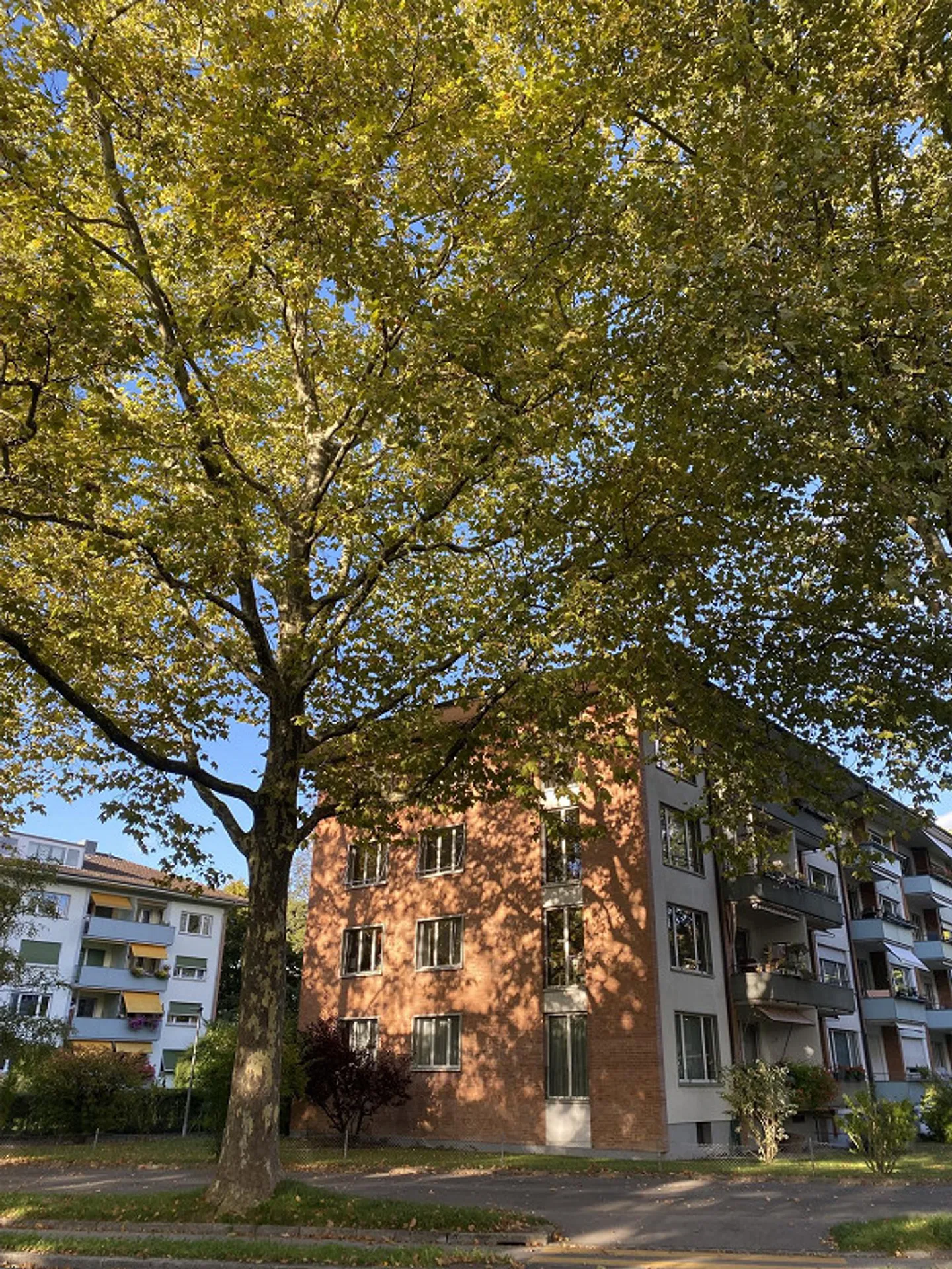 Appartamento luminoso e conveniente con 4 stanze nel quartiere Breitenrain - Foto 1 di 10