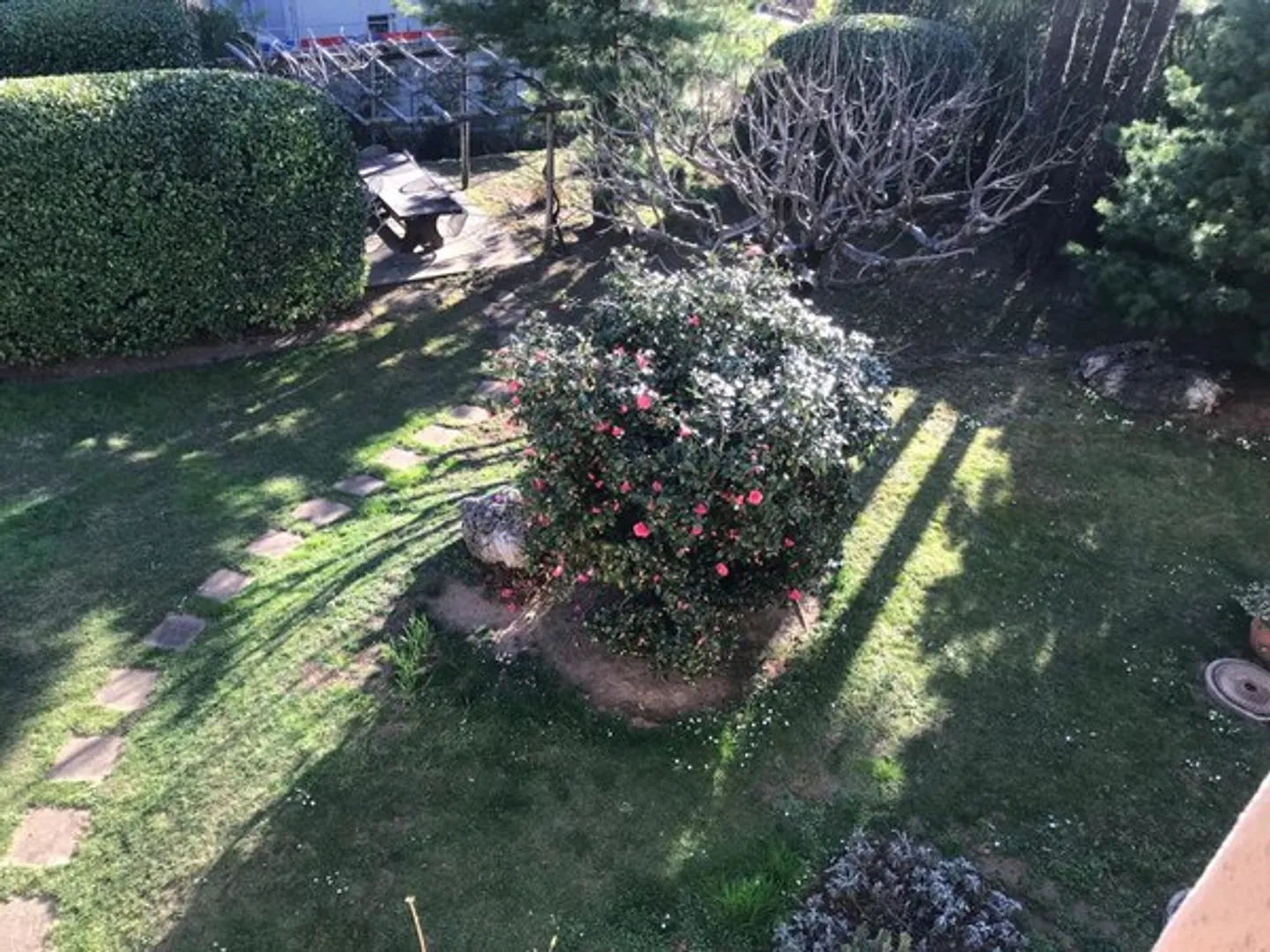Appartamento 2,5 locali con giardino comune - Foto 3 di 3