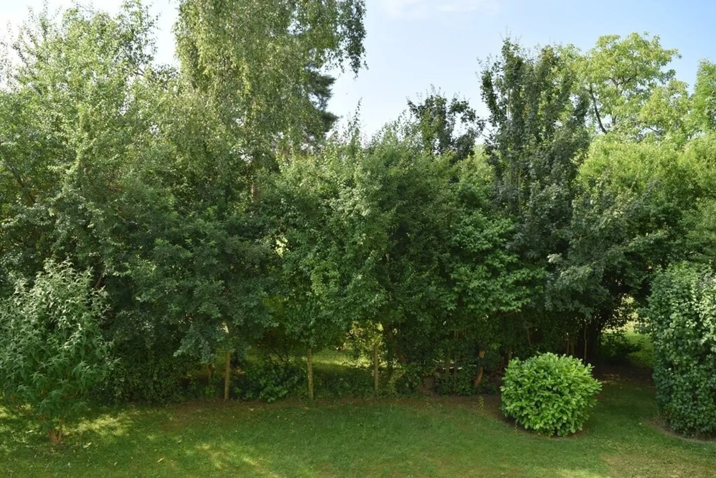 Hier endet Ihre Wohnungssuche - Foto 7 von 8