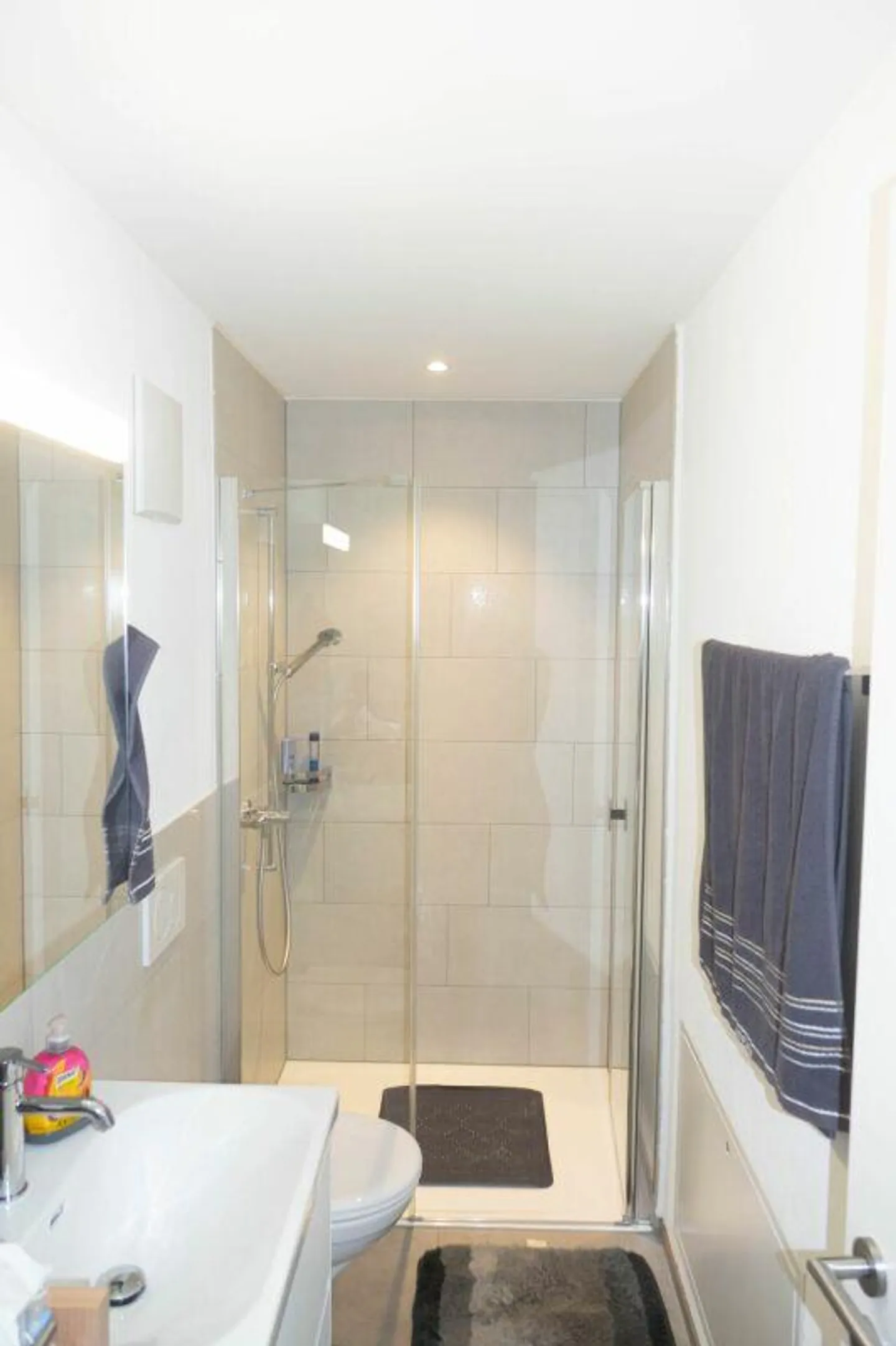 ruhige Wohnung mit grossem Sitzplatz sucht einen Nachmieter - Photo 3 sur 6