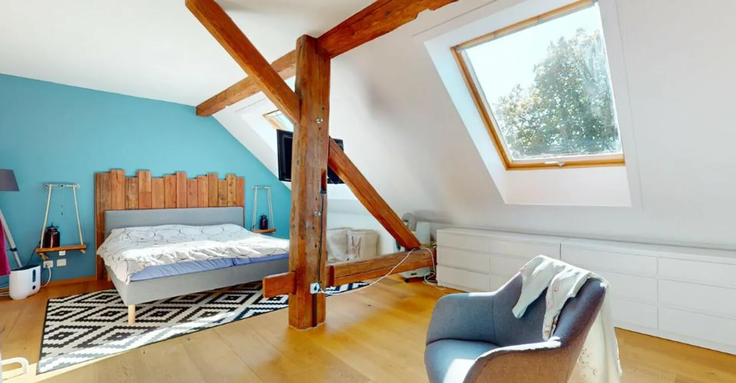 Magnificent renovated farm with 3 apartments and a stable - Photo 9 of 13
