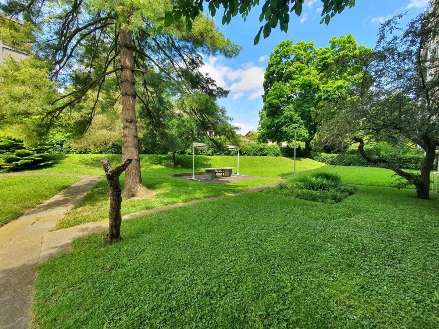 Appartamento modernizzato e ben tenuto in una posizione centrale - Foto 7 di 9