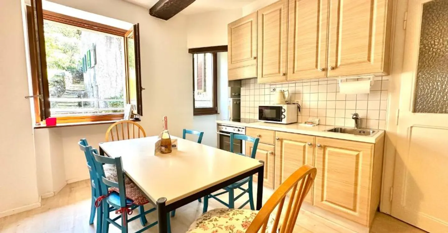 Charming house in the heart of Lugano-Pugerna - Photo 6 of 11