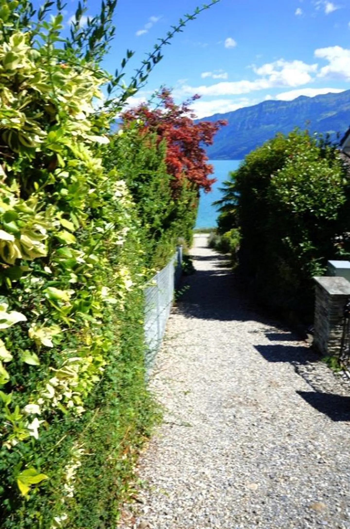 Vivere da sogno al Lago di Thun - Foto 21 di 23