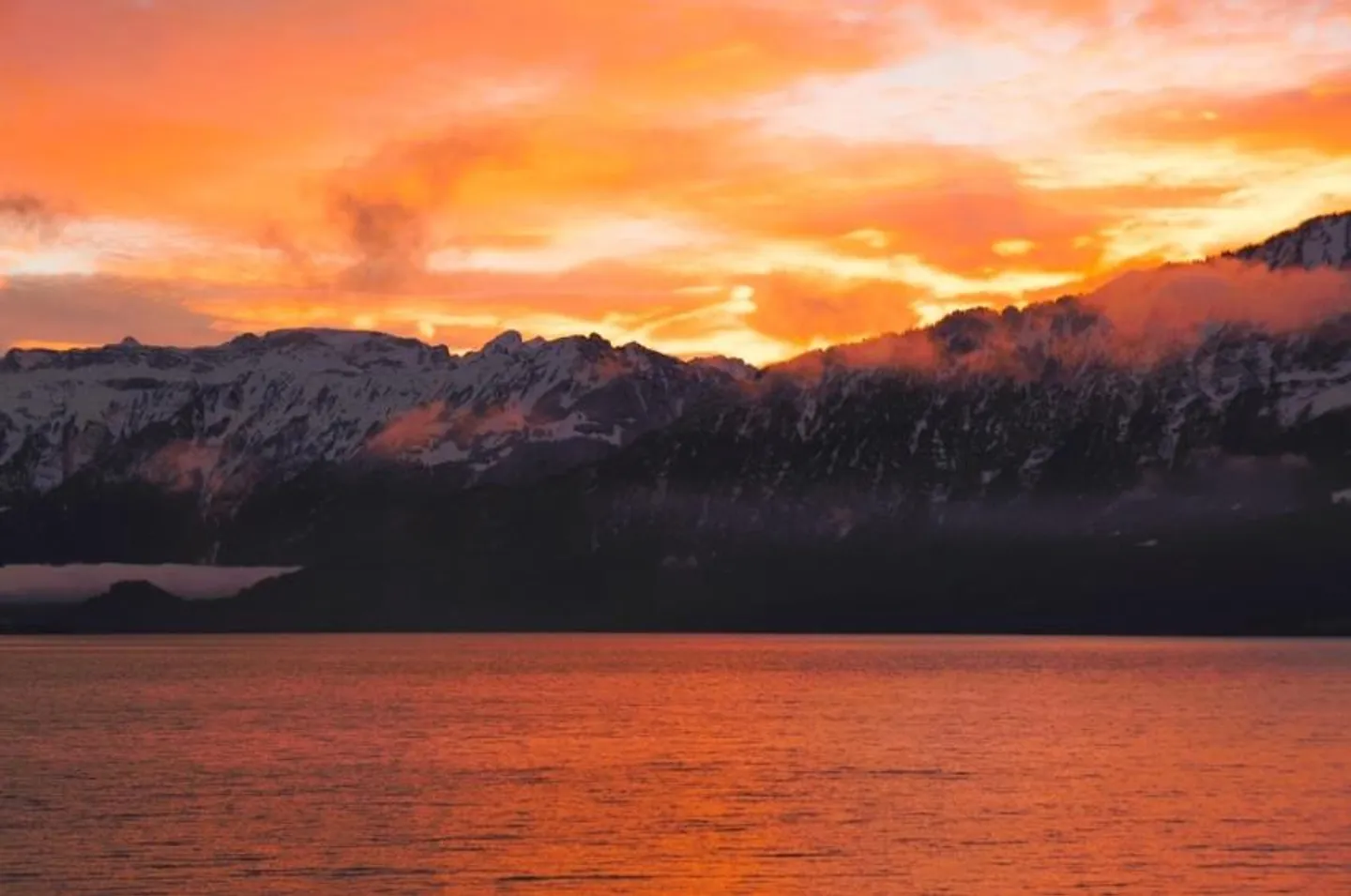 Vivere da sogno al Lago di Thun - Foto 22 di 23