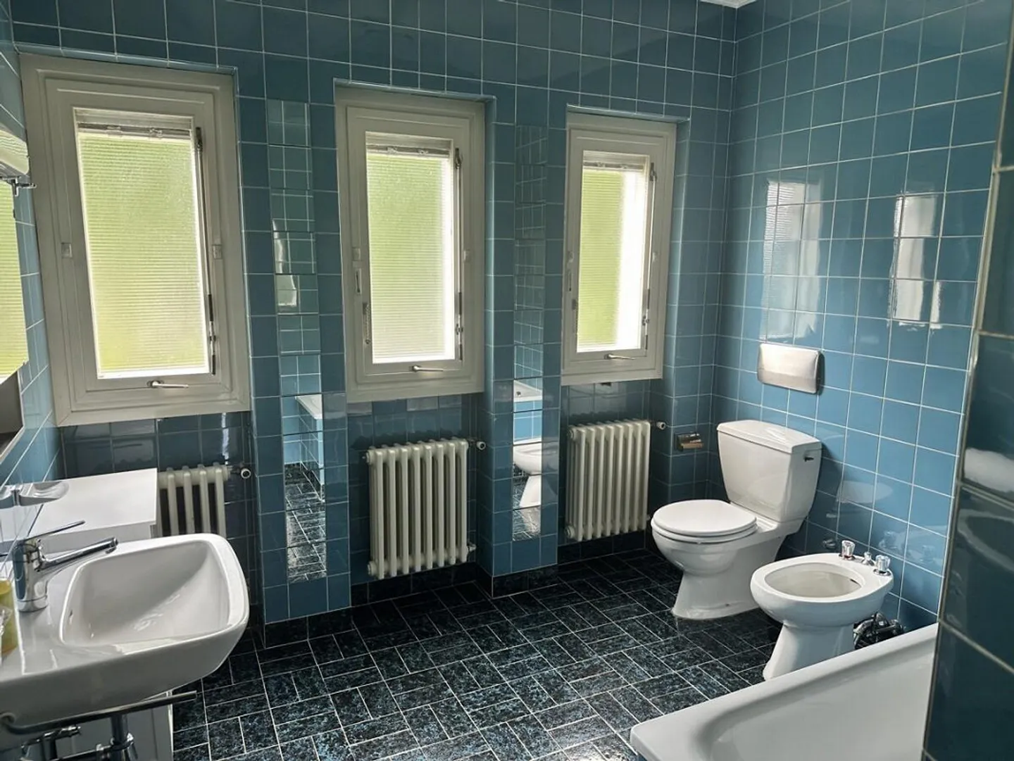 STABIO - EINGETAUCHT IN DAS GRÜN DER WEINBERGE, EINE VON BAUHAUS INSPIRIERTE WOHNUNG - Foto 11 von 12