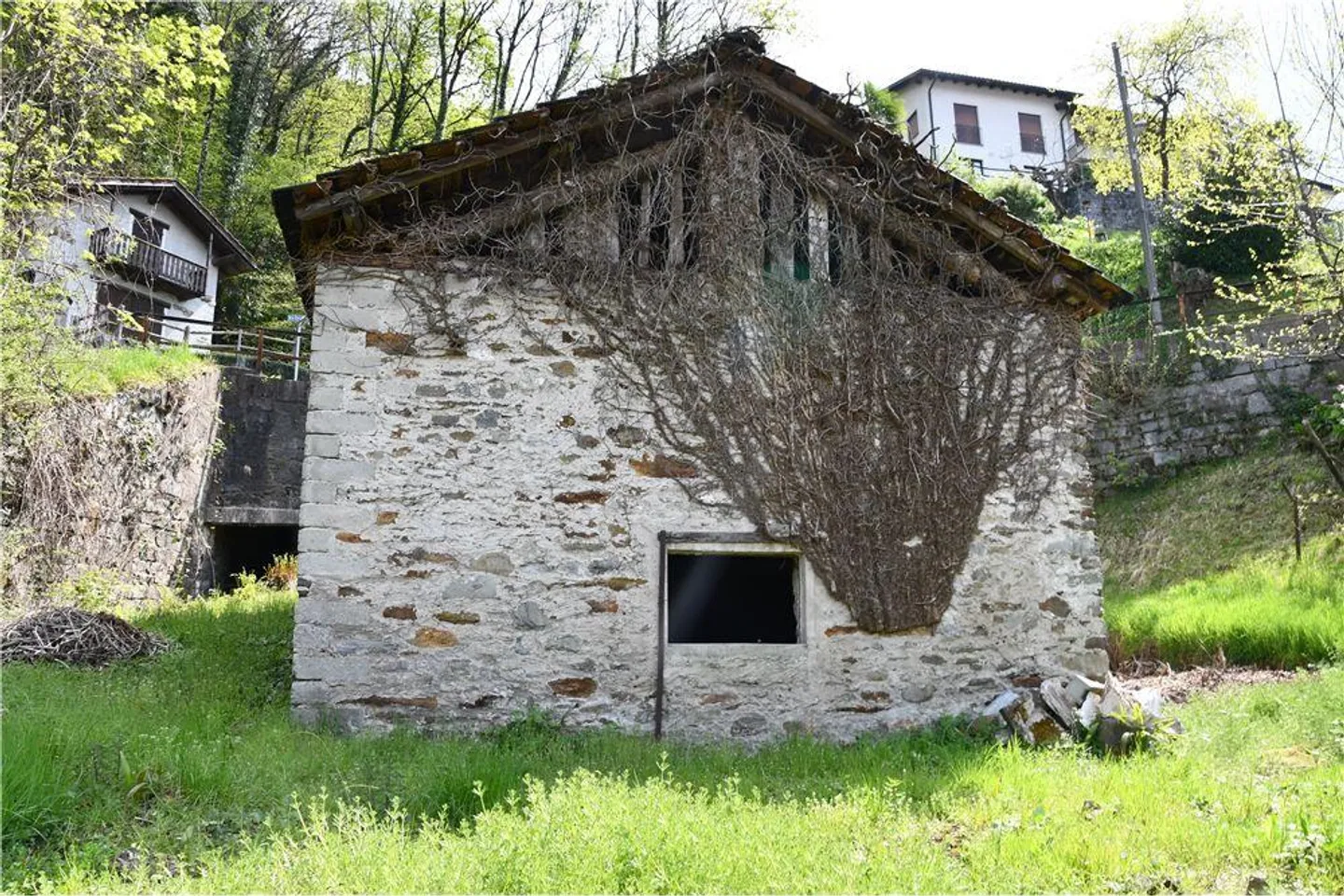 Bauen Sie Ihr Traumhaus in Gambarogno - Foto 7 von 13