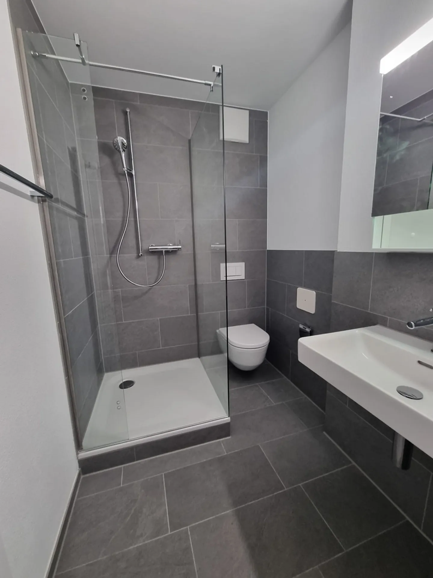 First rental after complete renovation: Apartment with a view of the Birs - Photo 8 of 9