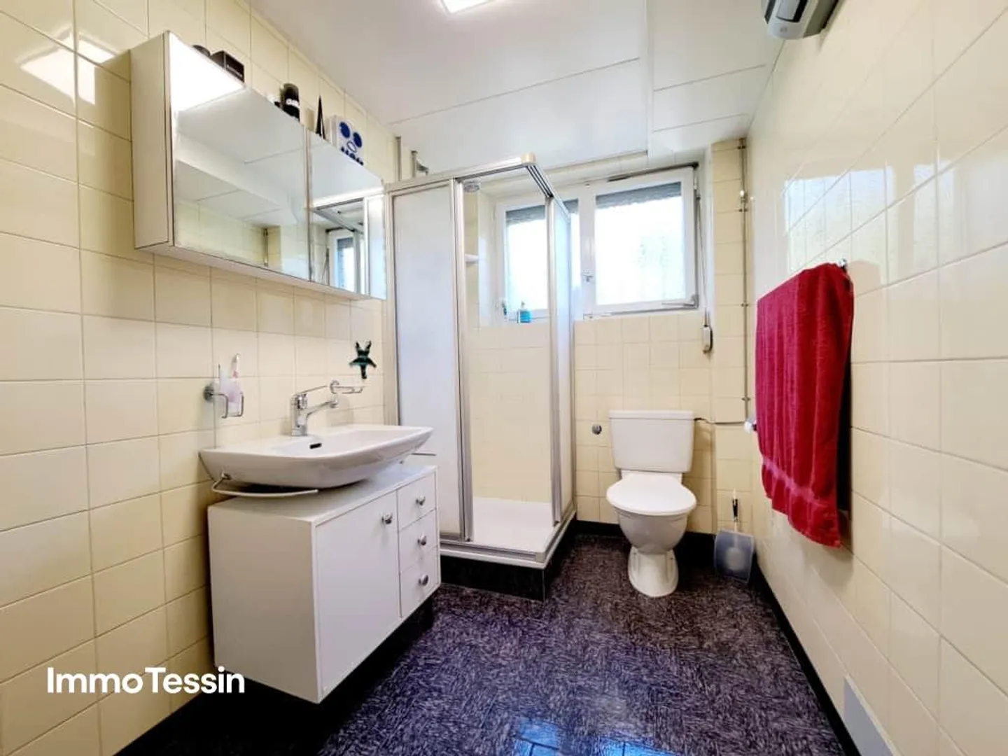 Villa con vigneto e enorme terreno di 2200 m2 a Giubiasco - Foto 13 di 13