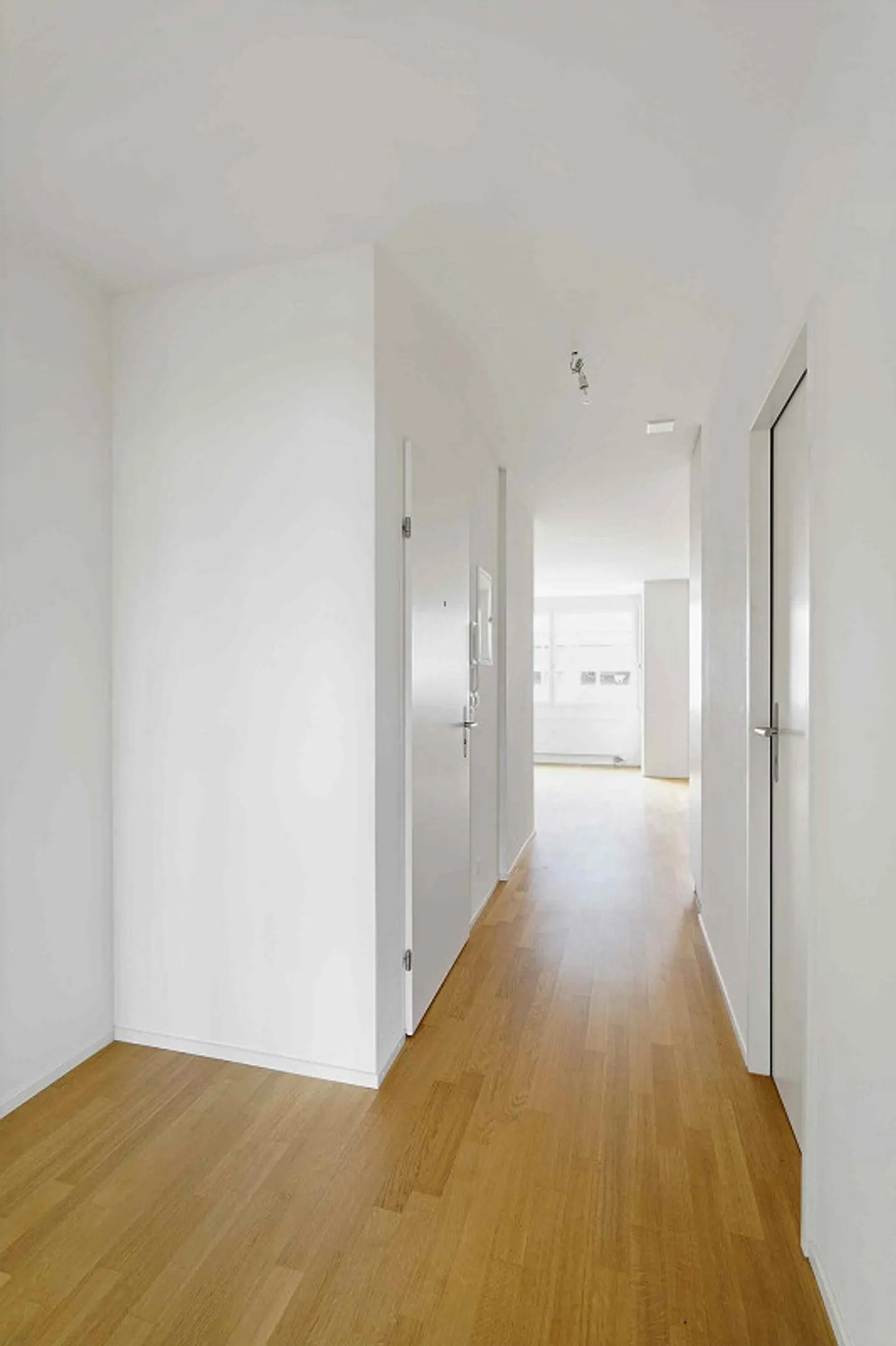 Modern Apartment Near Claraplatz - Photo 4 of 4