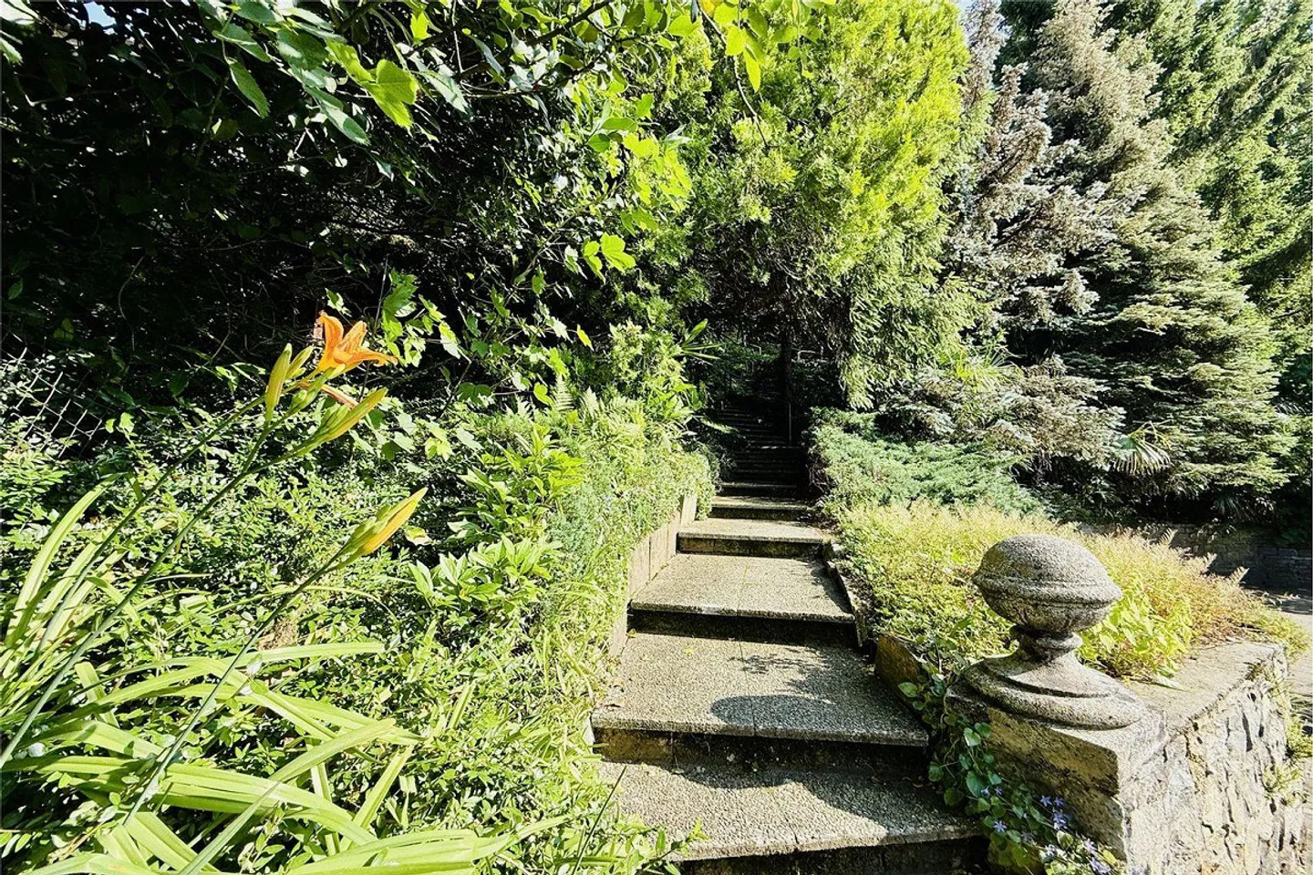 Lugano - Large building plot in the green | Lugano - Large, buildable plot in the green - Photo 7 of 9