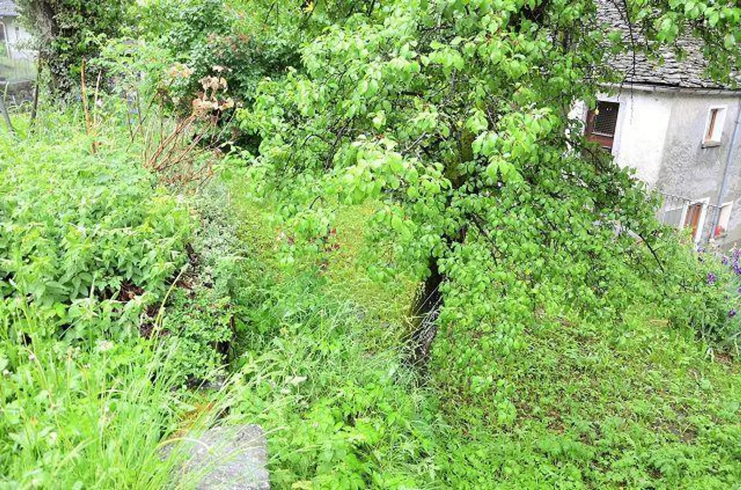 2 rustici da ristrutturare con giardino - Foto 17 di 28