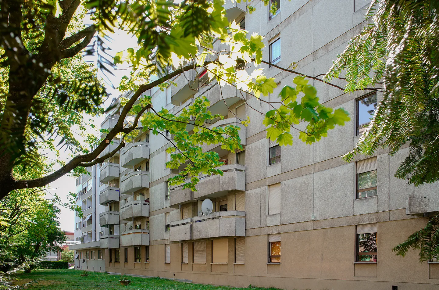 1,5 Zimmerwohnung - Foto 2 von 5