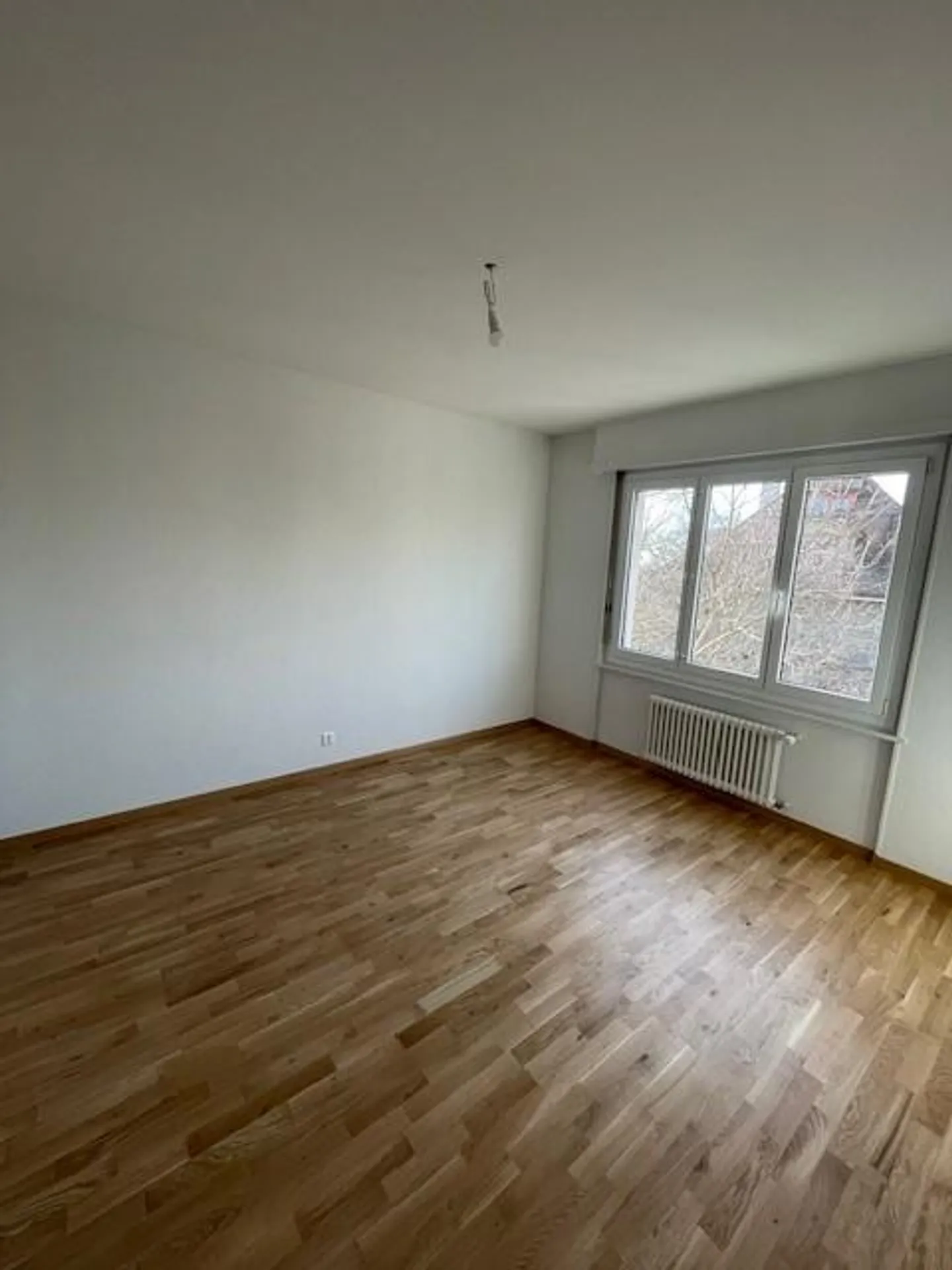 Appartamento Ristrutturato Incantevole - Foto 4 di 4