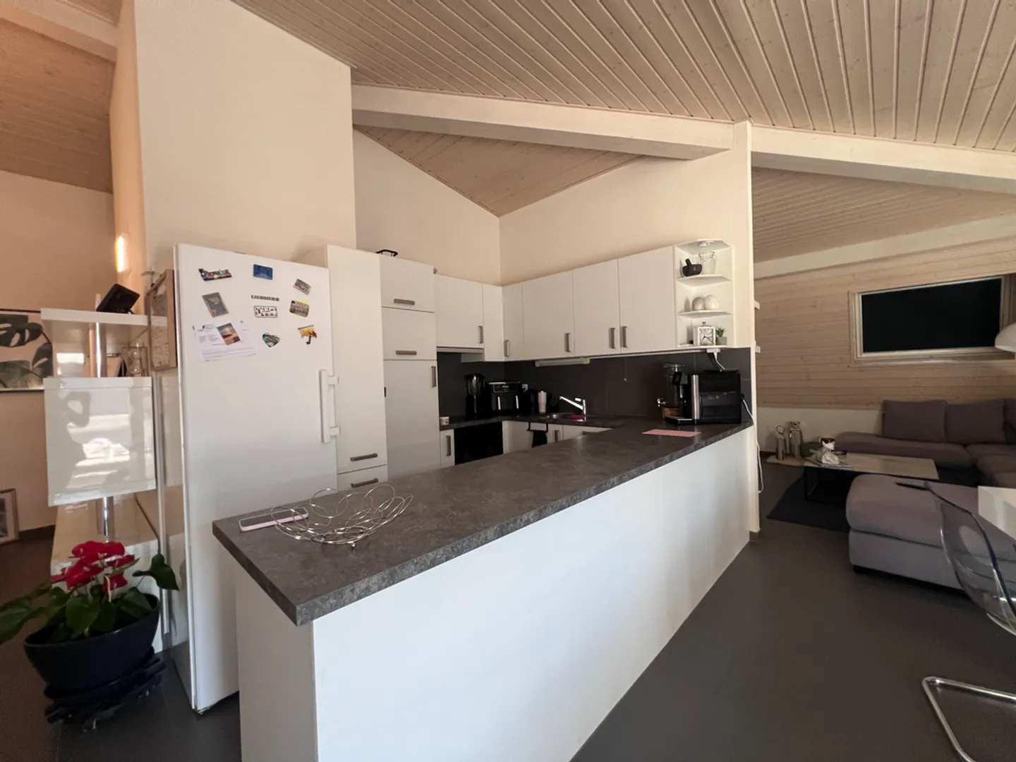 Spacious 4.5 Room Apartment - Photo 1 of 11