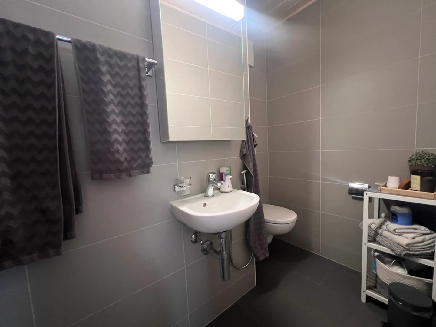 Spacious 4.5 Room Apartment - Photo 7 of 11