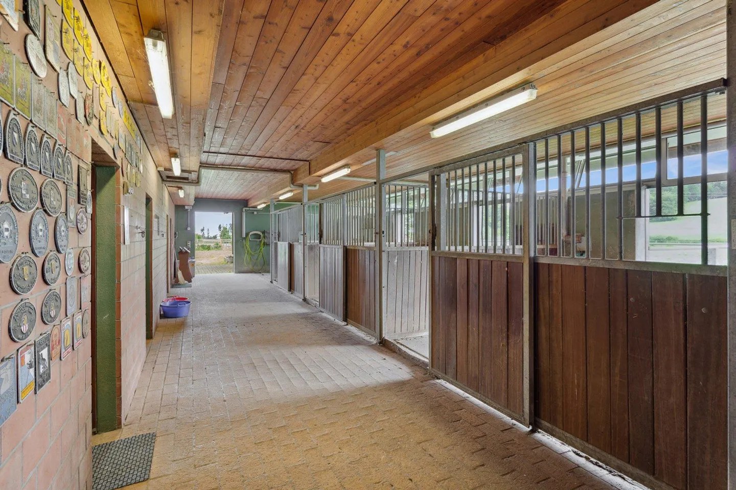 Riding stable with 4-5 boxes and riding hall - Photo 7 of 10