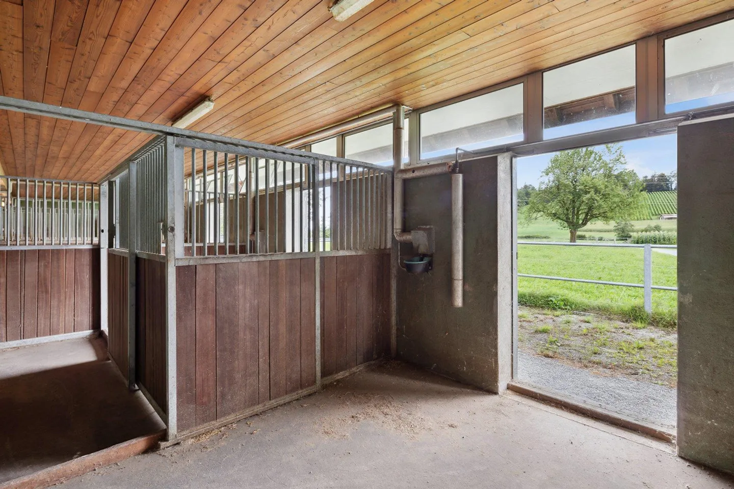 Riding stable with 4-5 boxes and riding hall - Photo 8 of 10
