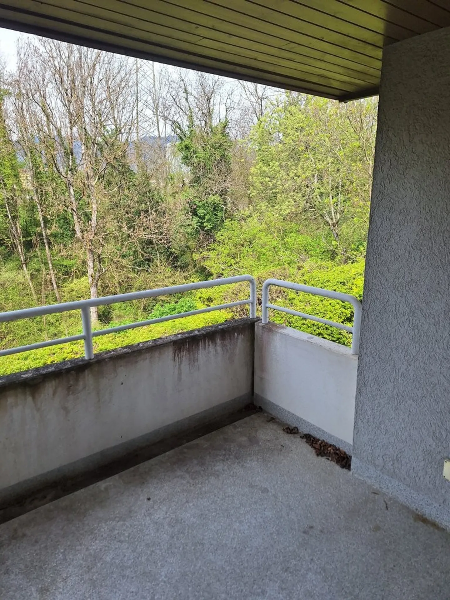 Beautiful apartment in a quiet neighborhood! - Photo 7 of 8