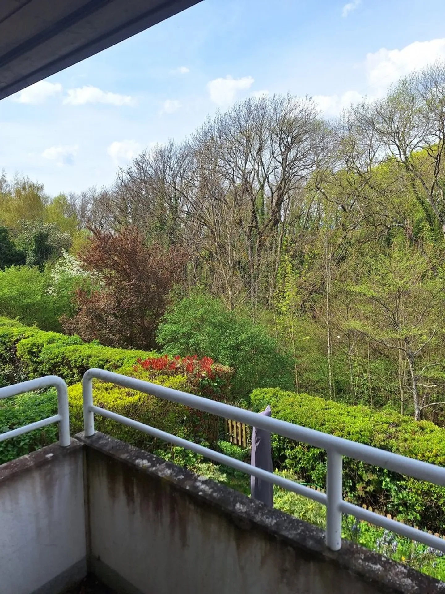 Beautiful apartment in a quiet neighborhood! - Photo 8 of 8