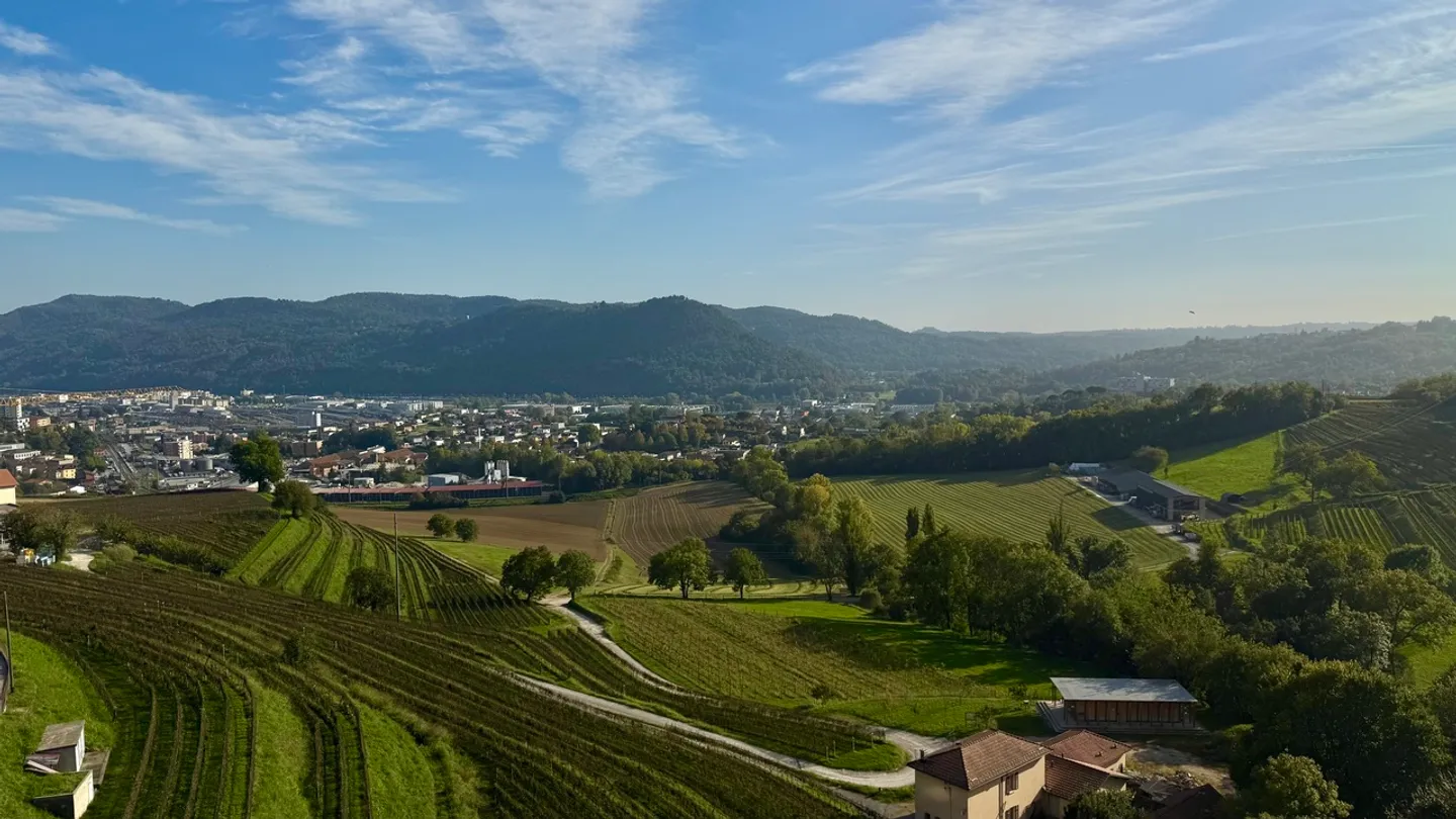 UP TO 3 MONTHS FREE - Renovated 4.5-room apartment in Coldrerio - Photo 13 of 13