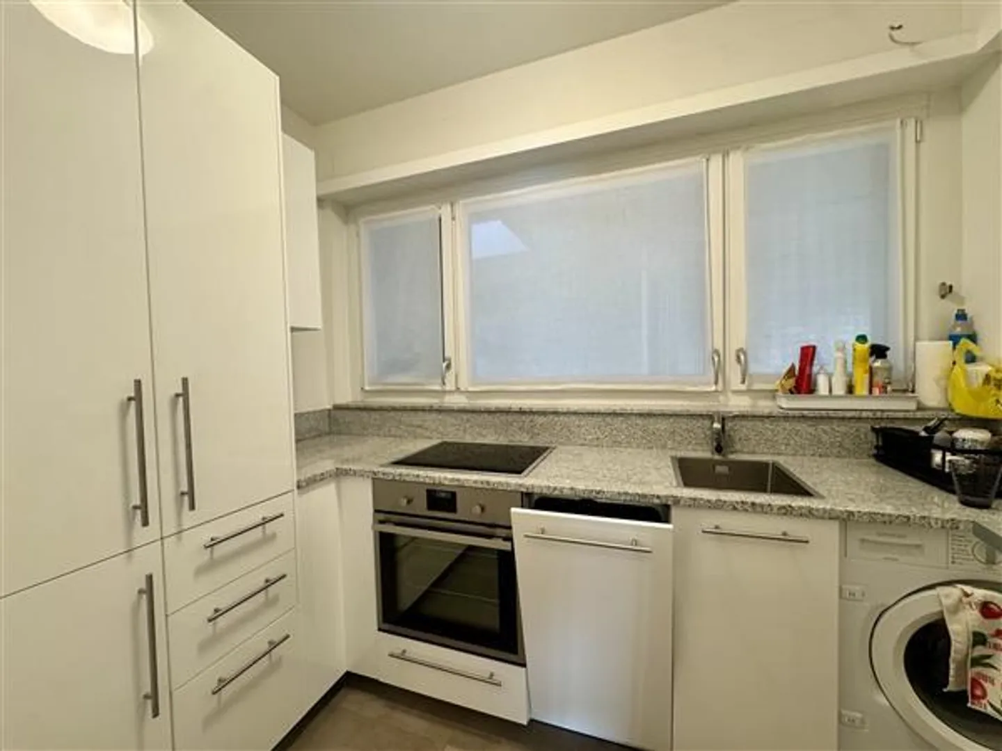 Castagnola: Appartamento 2.5 locali - Foto 2 di 12