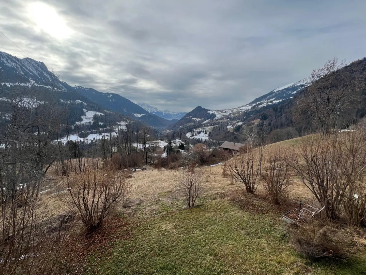 Beautiful Chalet for Renovation in Ormont-Dessous - Photo 1 of 13