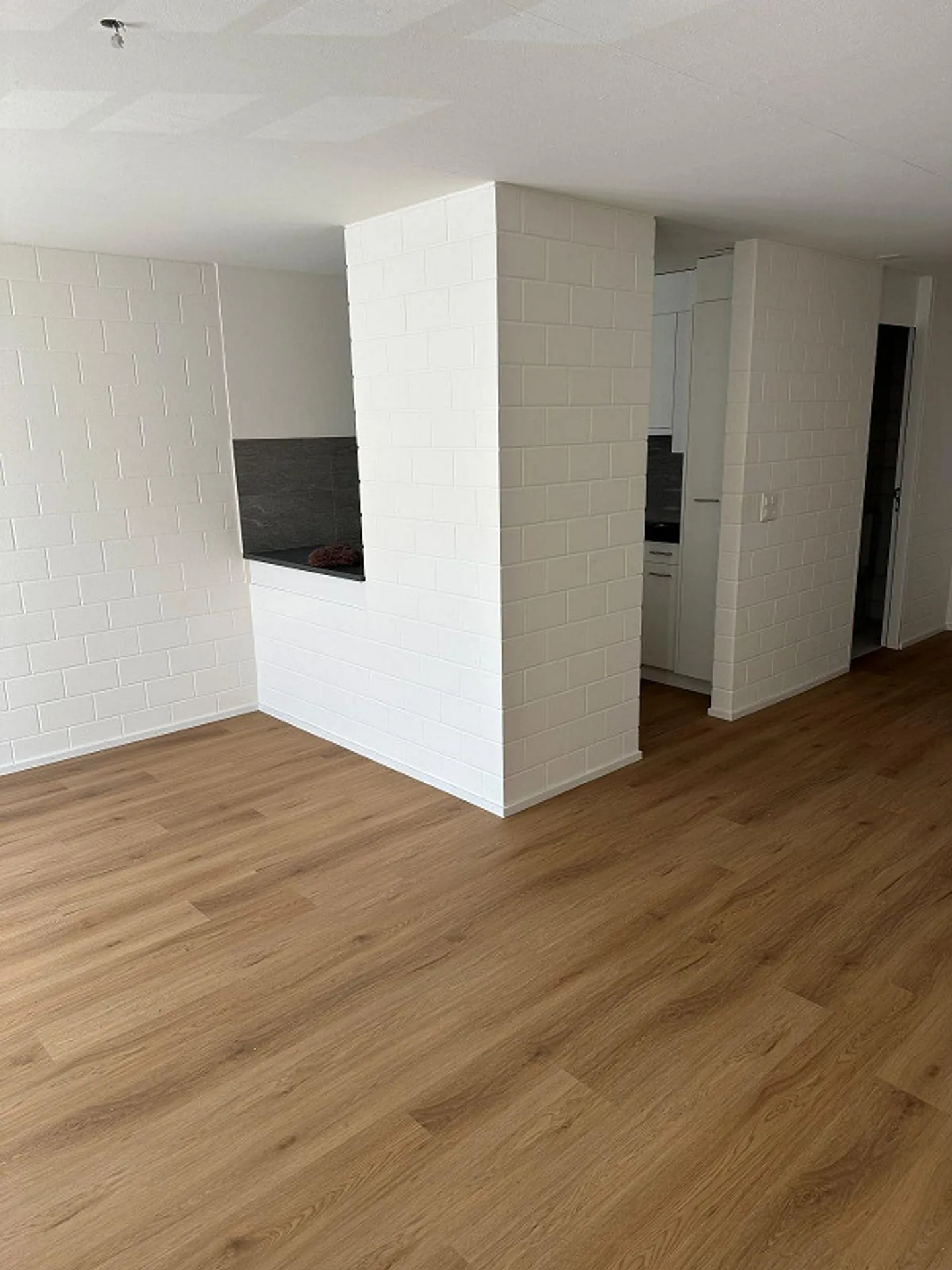 1.5 Room Apartment - Photo 2 of 7
