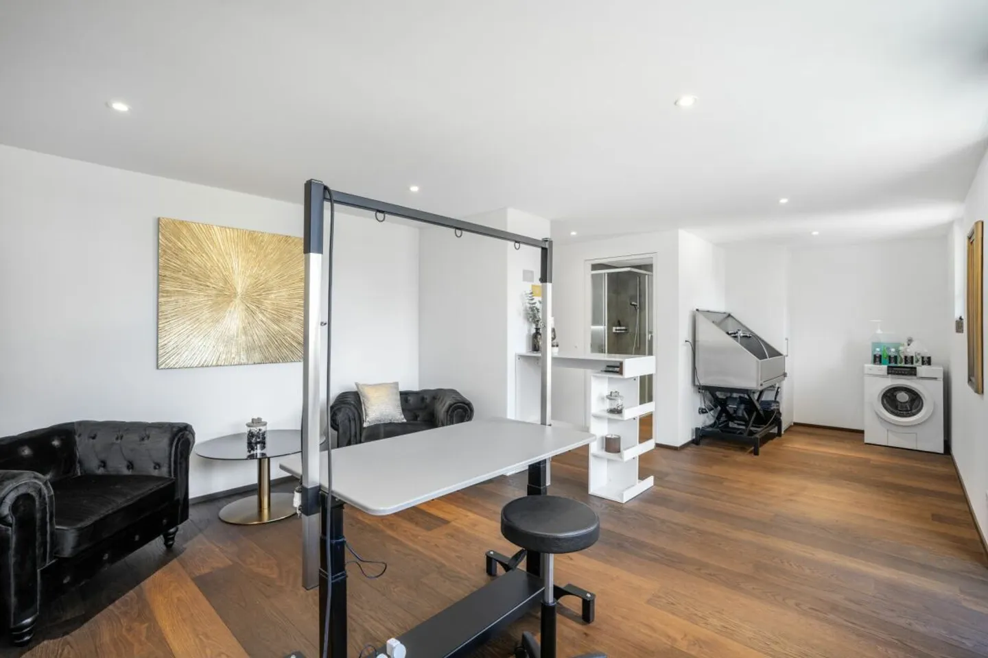 Exclusive Attic Studio in the Heart of Brig - Luxury, Comfort, and Prime Location - Photo 3 of 7