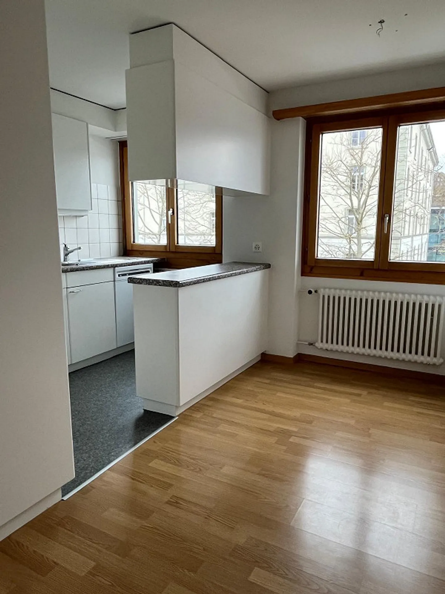 Ideal! Central 4 Rooms plus Work-Studio Area + 2 Balconies - Photo 4 of 14