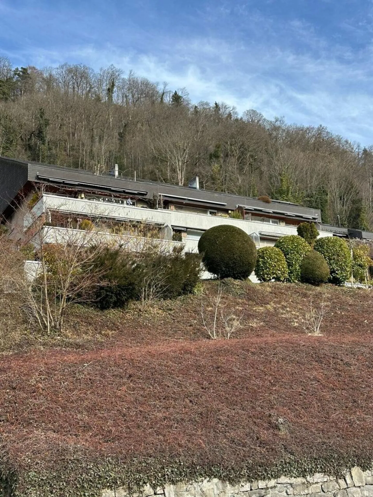 Vue spectaculaire sur le lac de Thun et les Alpes ! Votre nouveau bijou - Photo 2 sur 9