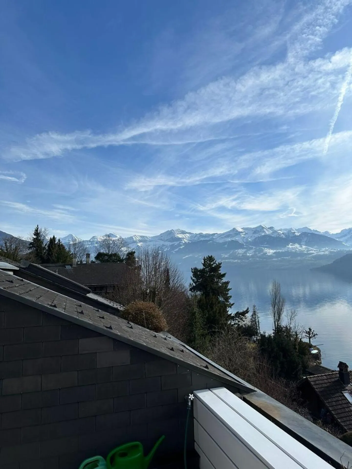Vue spectaculaire sur le lac de Thun et les Alpes ! Votre nouveau bijou - Photo 9 sur 9