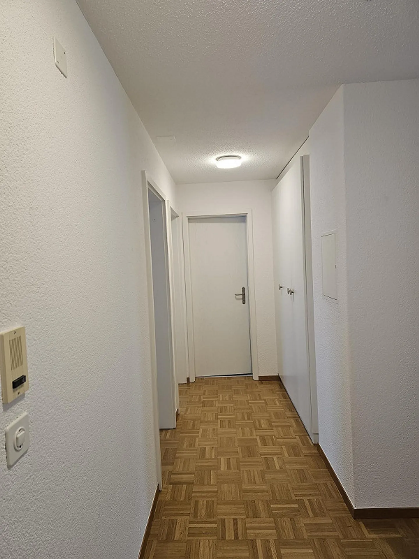 Appartamento 3 1/2 stanze recentemente ristrutturato e luminoso in una posizione centrale e tranquilla - Foto 12 di 27