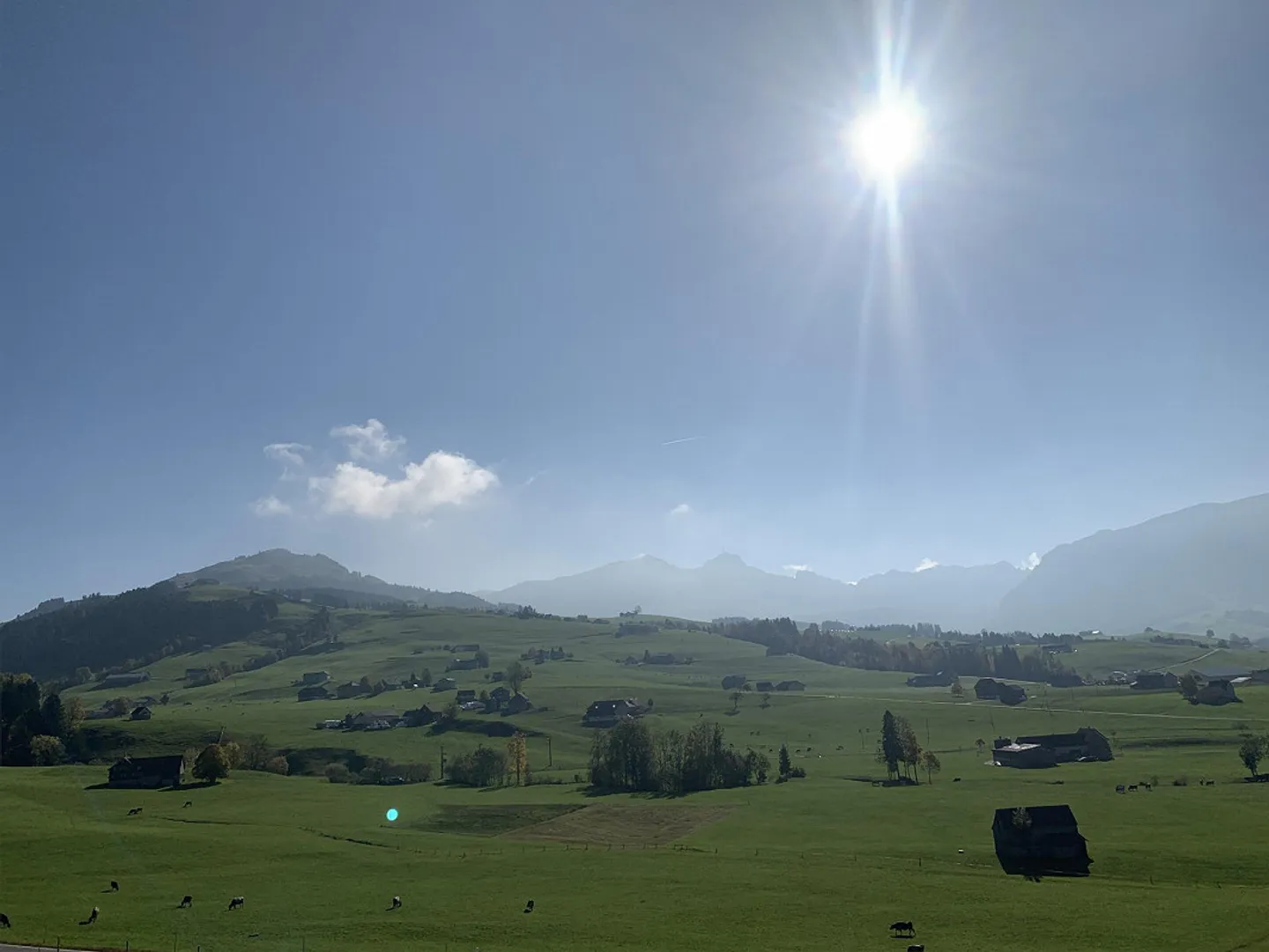 Grosse sonnige Wohnung mit sehr schöner Aussicht in den Alpstein - Foto 5 von 24