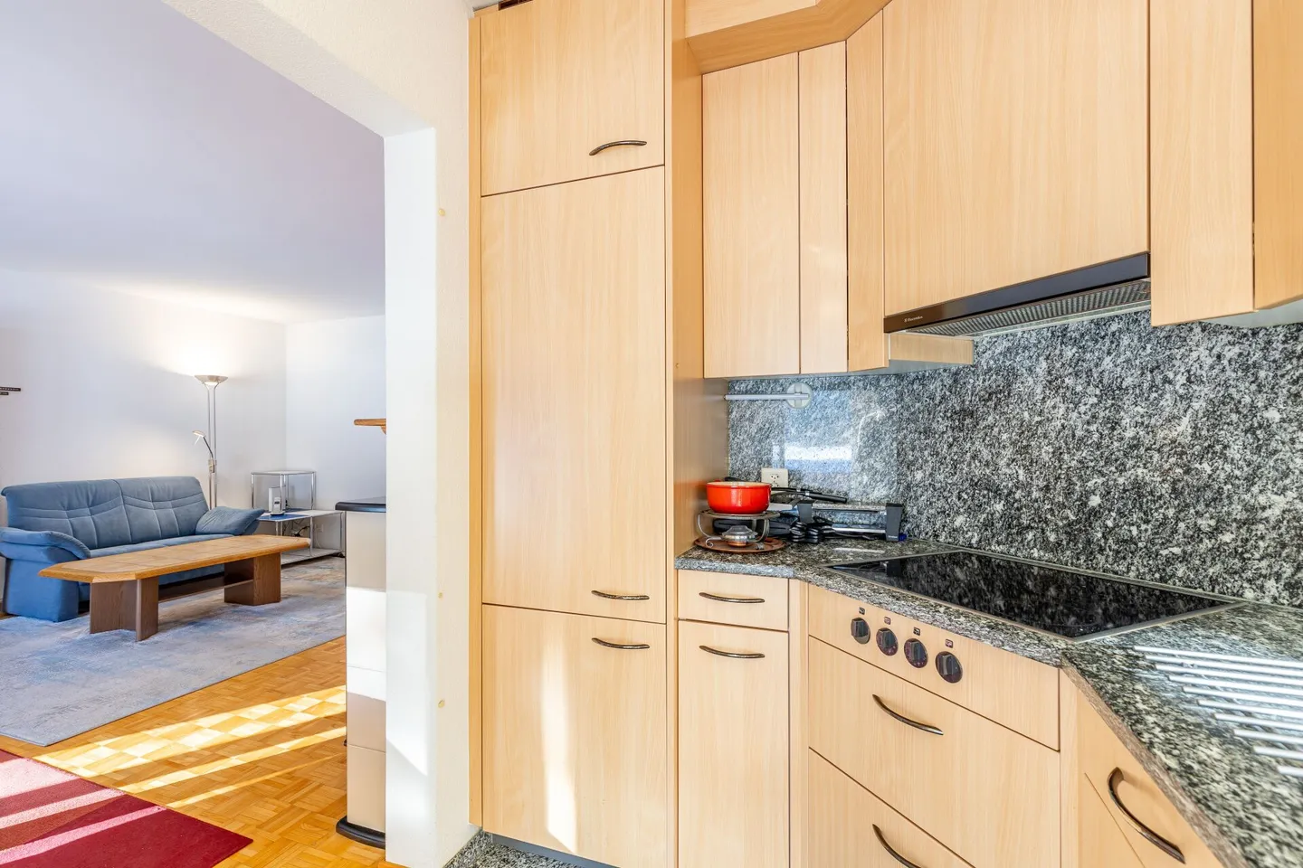 4.5-Room Garden Apartment at Immediate Lake Location - Photo 7 of 13