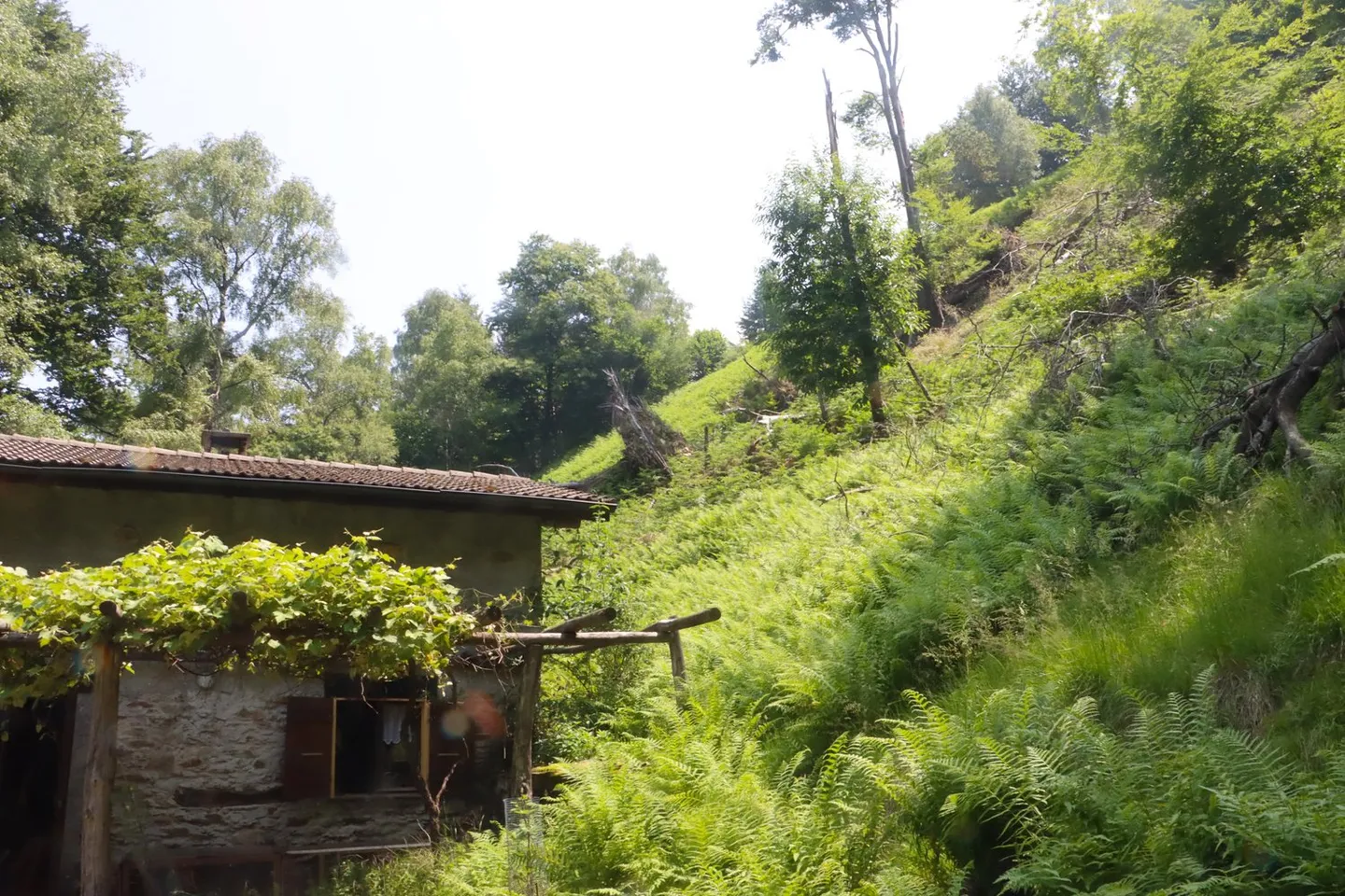 Incantevole Homeoffice Rustico - Foto 19 di 21