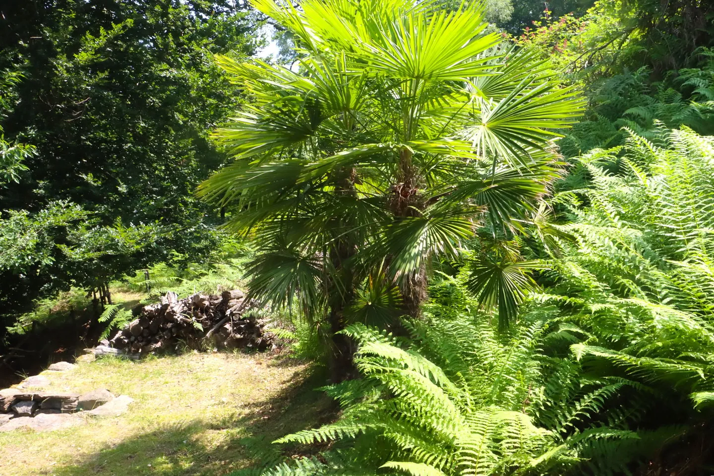 Incantevole Homeoffice Rustico - Foto 20 di 21