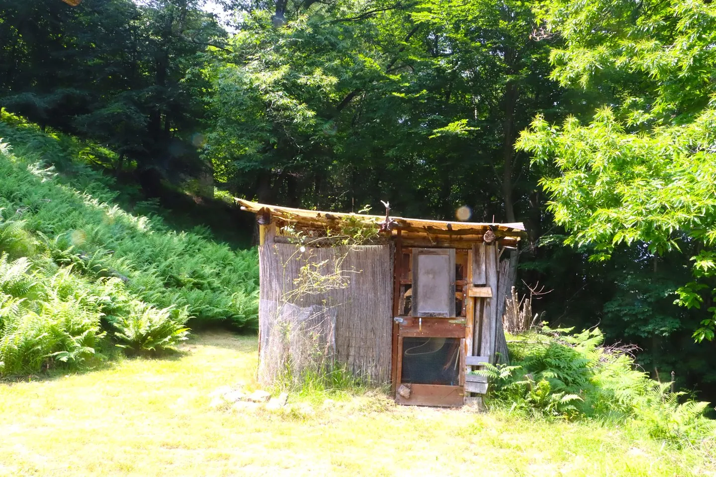 Incantevole Homeoffice Rustico - Foto 21 di 21