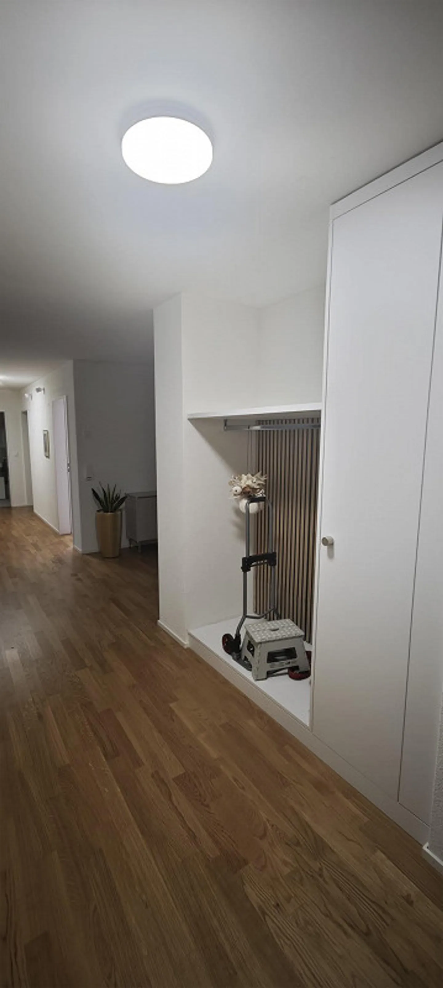 Grosszügige 4.5 Zimmerwohnung - Foto 2 von 14