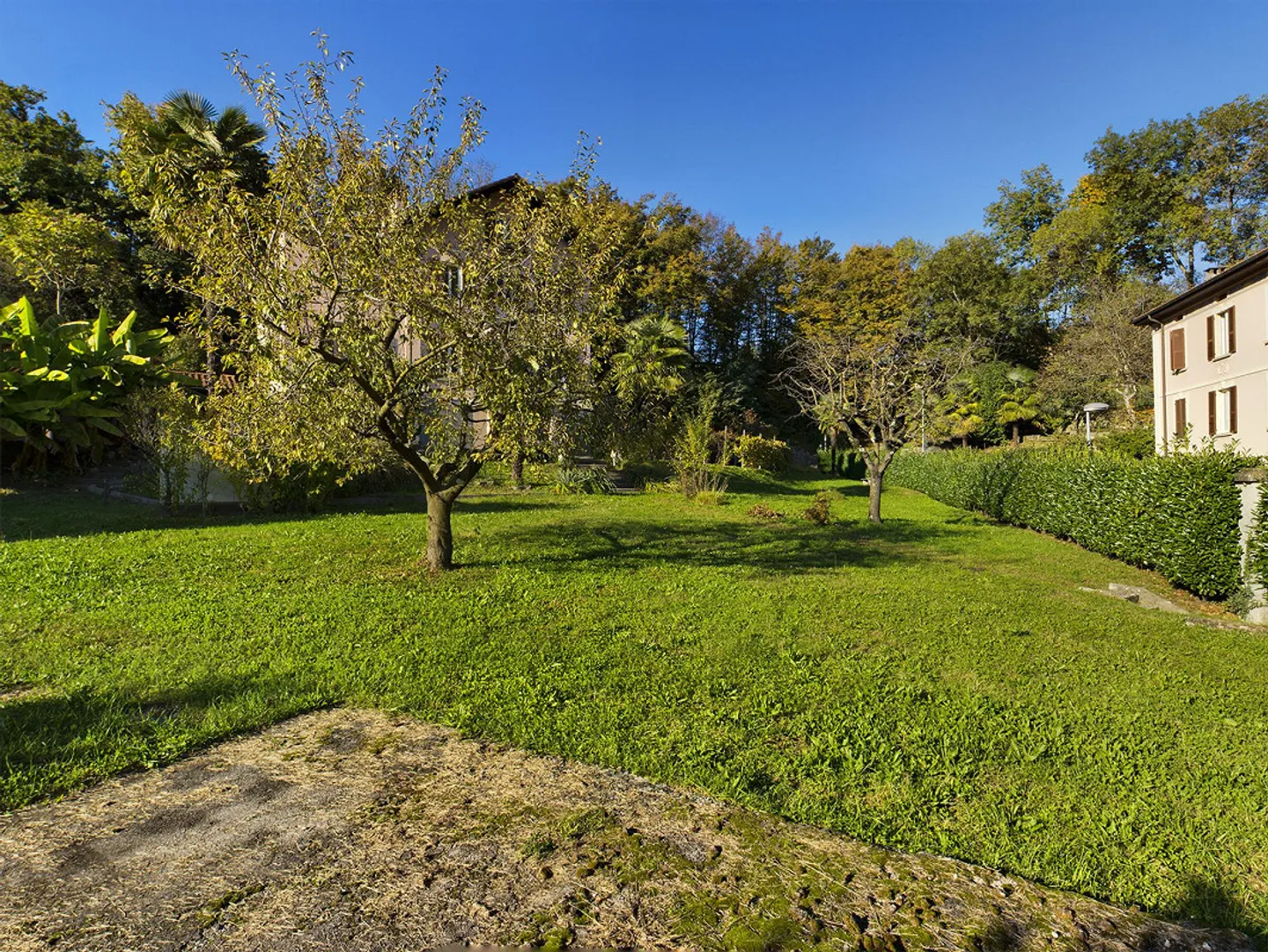Baugrundstück mit Mehrfamilienhaus: Zukunftsperspektiven mit einem Hauch von Geschichte. - Foto 3 von 25