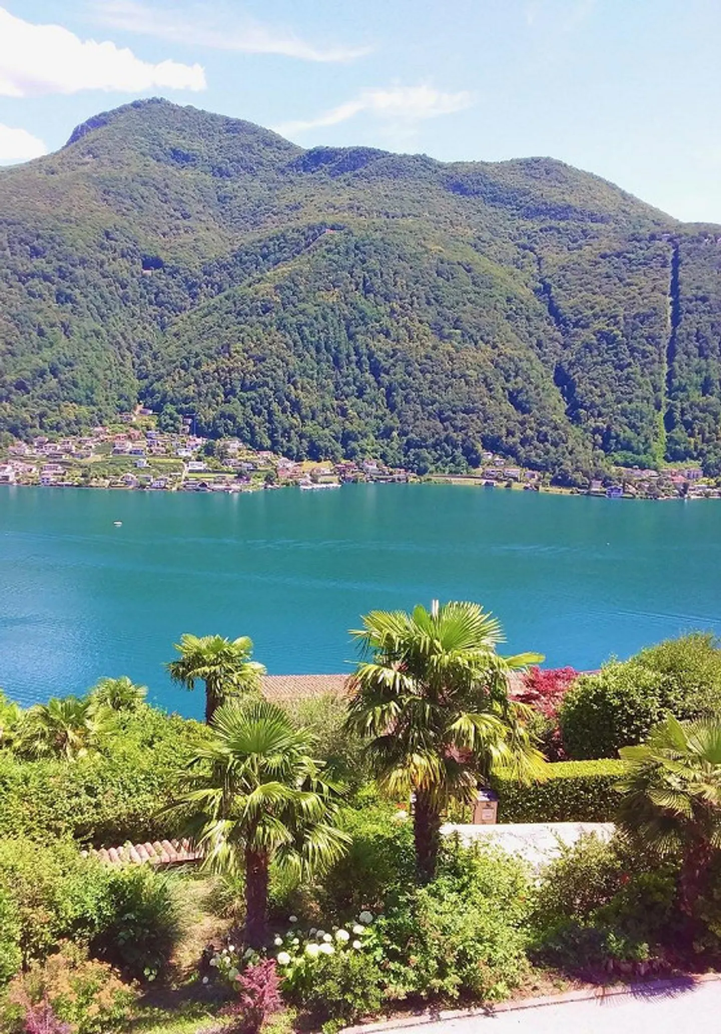 Villa à rénover avec vue à 180° sur le lac de Lugano - Photo 7 sur 8