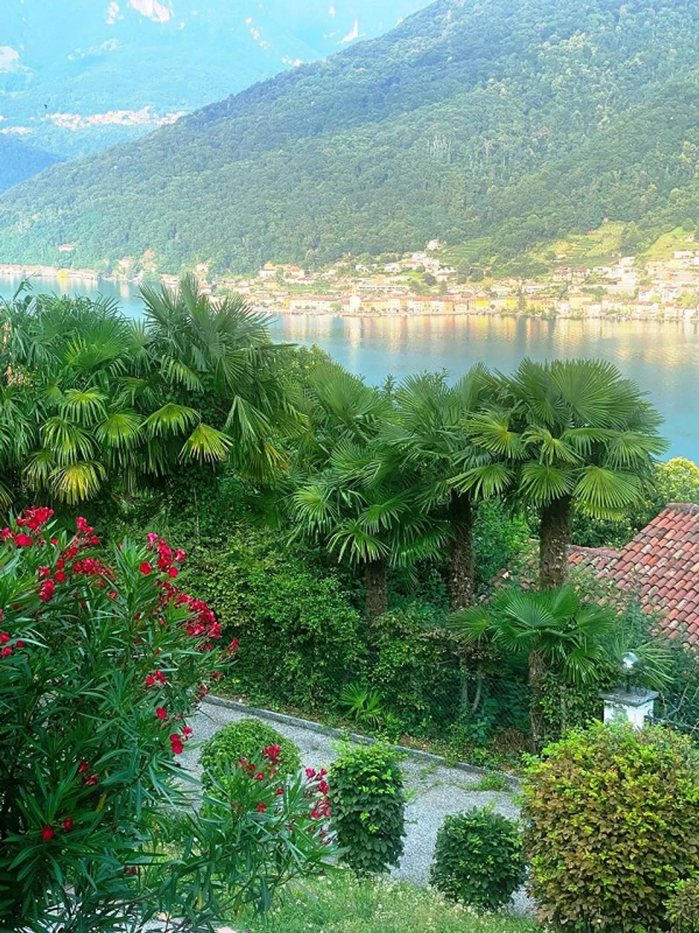 Villa à rénover avec vue à 180° sur le lac de Lugano - Photo 8 sur 8