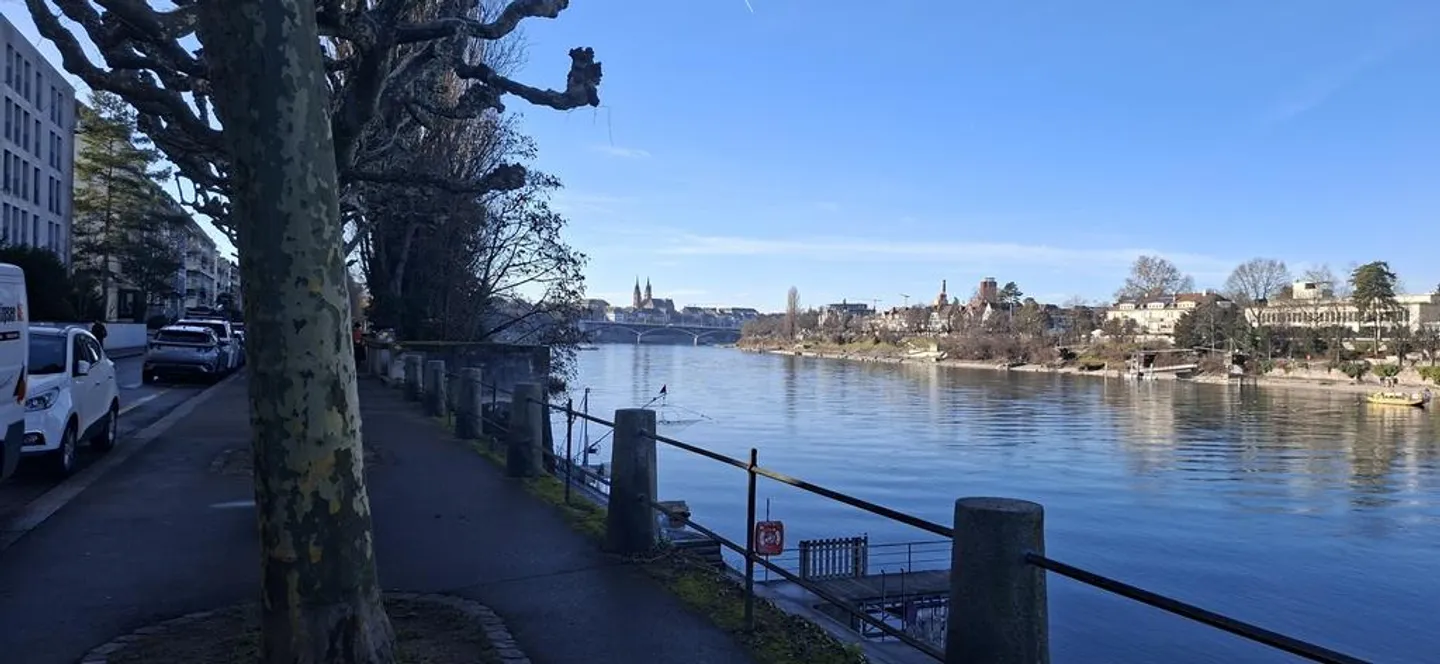 Exclusive 4.5-room penthouses with gallery & terrace, near the Rhine - Photo 2 of 6