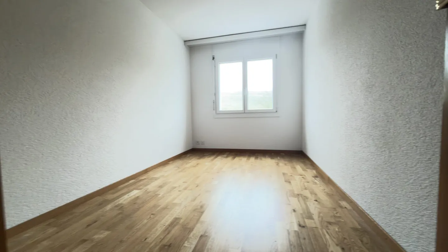 Renovated Apartment in Kirchberg - Photo 12 of 13