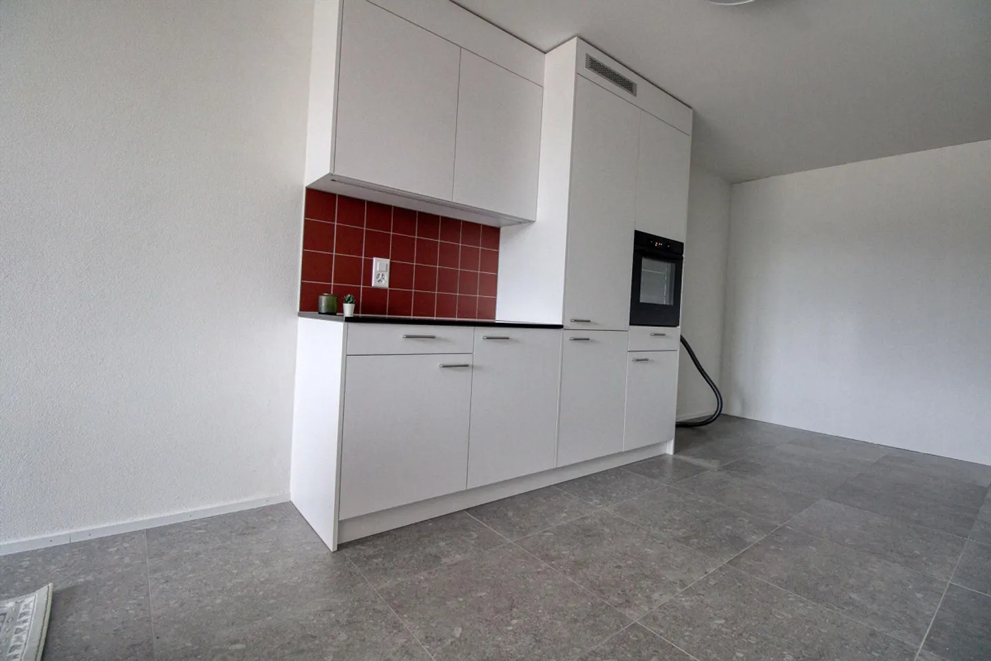 Appartement vivant spacieux à Crissier avec salle de bain privée - Foto 16 di 21