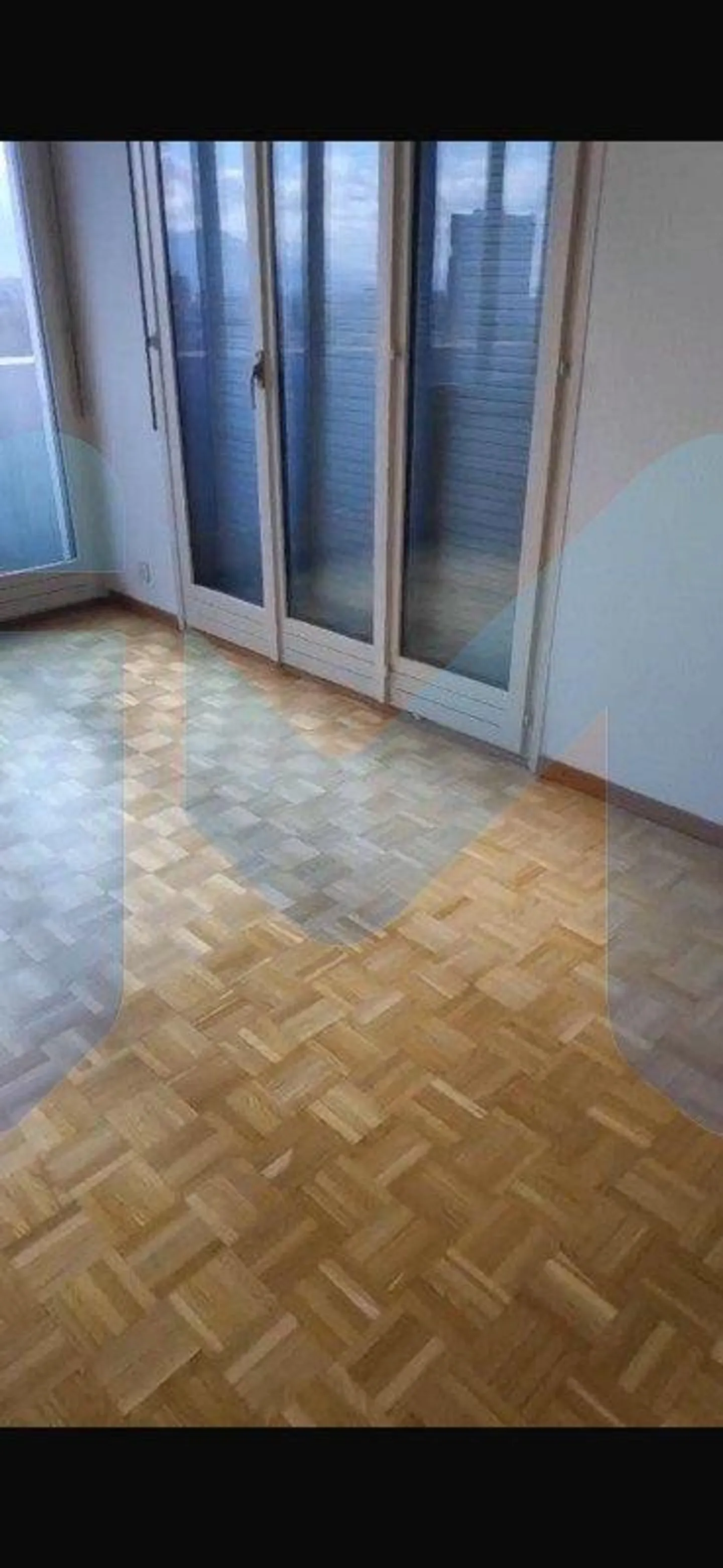 Spacious 6-Room Apartment in Onex - Photo 4 of 11