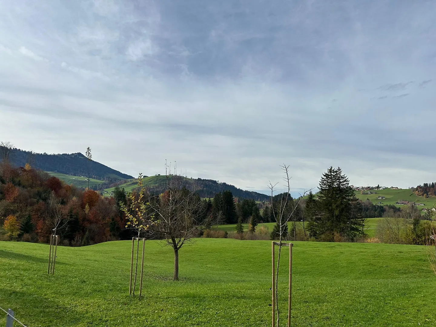 Appartement 3.5 pièces - Photo 8 sur 8