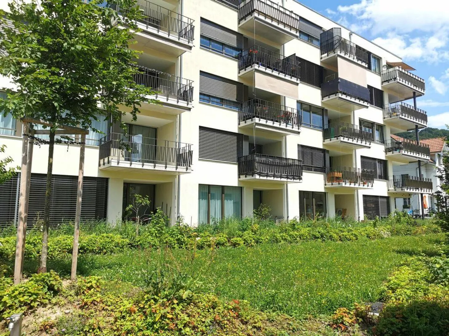 Appartamento luminoso di 2,5 stanze in affitto a Burgdorf - Foto 1 di 11