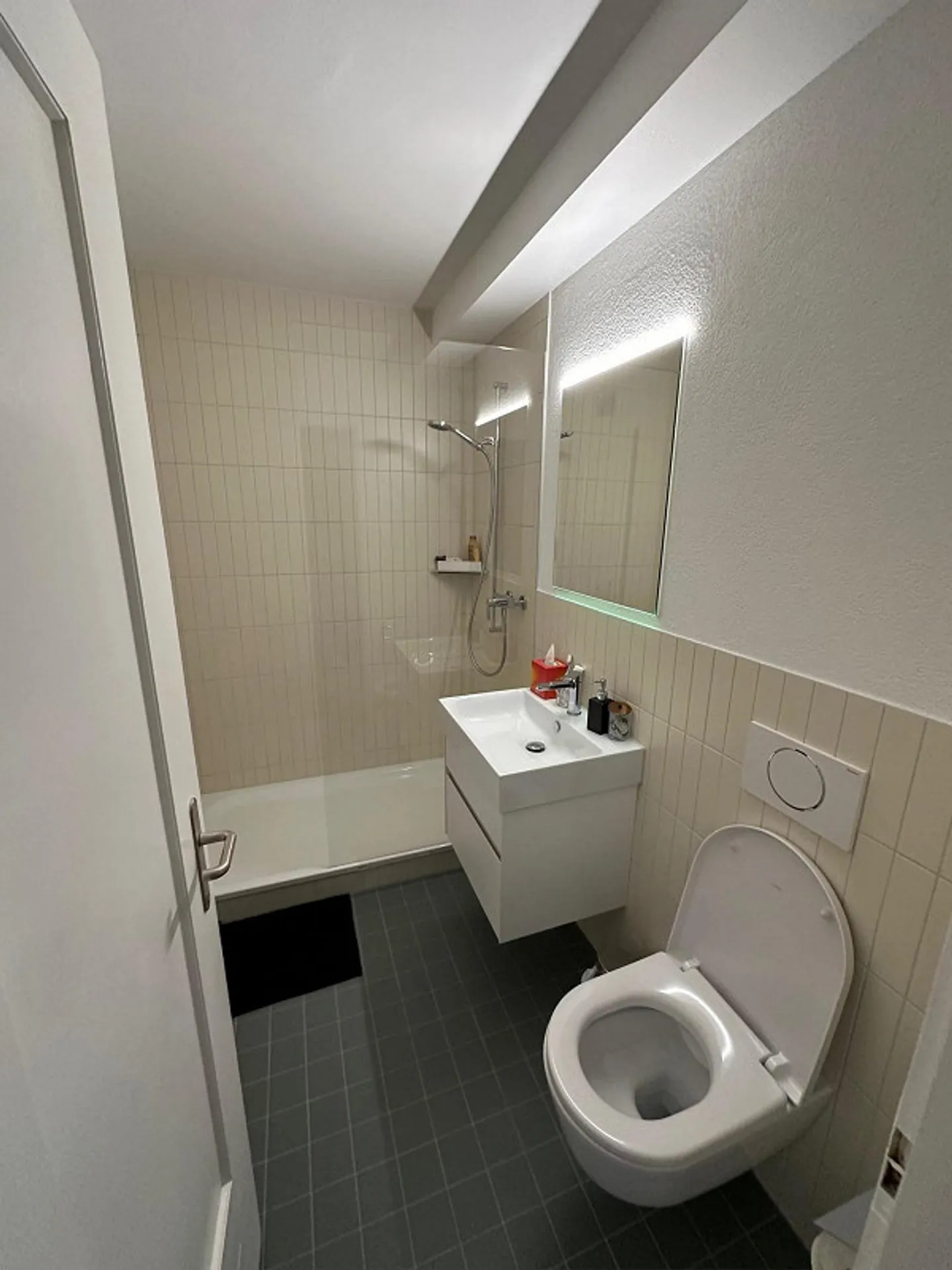 Charming 2-room apartment in a quiet location in Bern - Photo 4 of 6